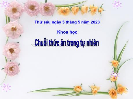 Bài giảng Khoa học Lớp 4 - Bài: Chuỗi thức ăn trong tự nhiên - Năm học 2022-2023