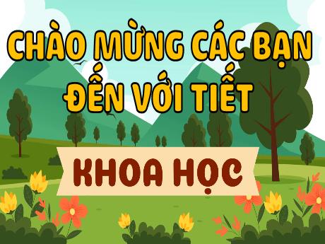 Bài giảng Khoa học Lớp 4 - Tuần 15, Bài: Thực vật cần gì để sống và phát triển (Tiết 3)