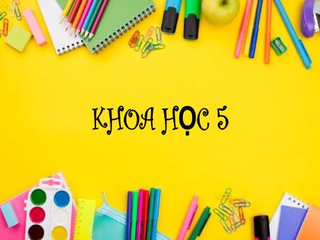 Bài giảng Khoa học Lớp 5 - Bài 2-3: Nam hay nữ