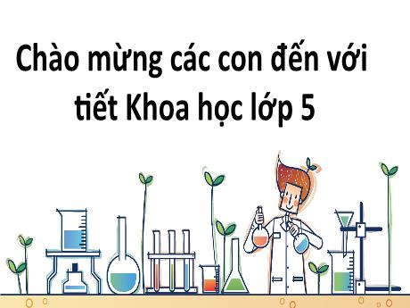 Bài giảng Khoa học Lớp 5 - Bài: Từ tuổi vị thành niên đến tuổi già