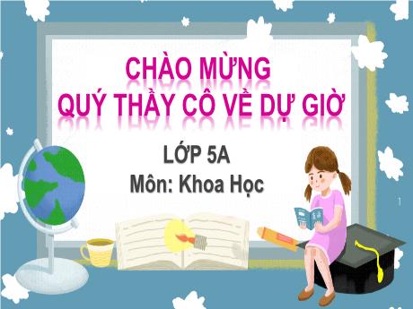 Bài giảng Khoa học Lớp 5 - Bài: Vệ sinh ở tuổi dậy thì