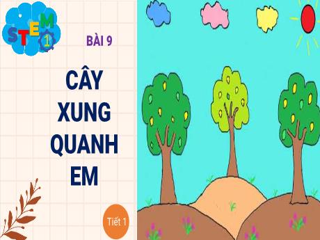 Bài giảng STEM Lớp 1 - Bài 9: Cây xung quanh em