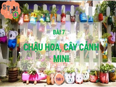 Bài giảng STEM Lớp 4 - Bài 7: Chậu hoa, cây cảnh mini