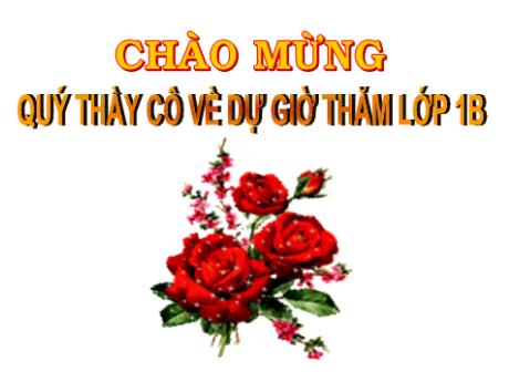 Bài giảng Toán Lớp 1 - Bài 21: Số có hai chữ số (tiết 5) - Năm học 2021-2022