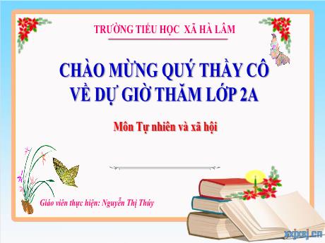 Bài giảng Tự nhiên và Xã hội Lớp 2 - Bài 13: Hoạt động giao thông (Tiết 2) - Năm 2022-2023 - Nguyễn Thị Thúy