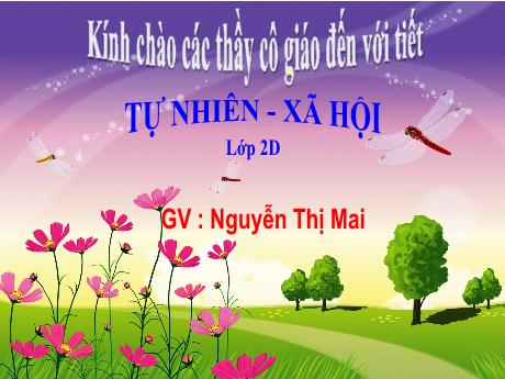 Bài giảng Tự nhiên và Xã hội Lớp 2 - Bài 13: Hoạt động giao thông (Tiết 1) - Năm 2022-2023 - Nguyễn Thị Mai