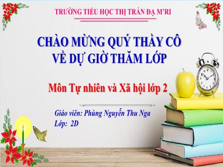 Bài giảng Tự nhiên và Xã hội Lớp 2 - Bài 14: Cùng tham gia giao thông (Tiết 2) - Năm học 2023-2024 - Phùng Nguyễn Thu Nga