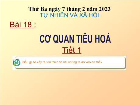 Bài giảng Tự nhiên và xã hội Lớp 3 - Bài 18 : Cơ quan tiêu hoá (Tiết 1) - Năm học 2022-2023