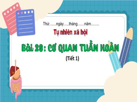Bài giảng Tự nhiên và xã hội Lớp 3 - Bài 20: Cơ quan tuần hoàn (Tiết 1)