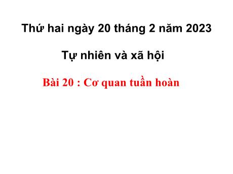 Bài giảng Tự nhiên và Xã hội Lớp 3 - Bài 20 : Cơ quan tuần hoàn - Năm học 2022-2023