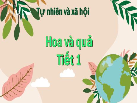 Bài giảng Tự nhiên và Xã hội Lớp 3 - Bài: Hoa và quả (Tiết 1)
