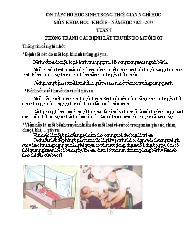Bài tập Khoa học Lớp 5 - Tuần 7, Bài: Phòng tránh các bệnh lây truyền do muỗi đốt - Trường Tiểu học Thành Lợi C (Có đáp án)