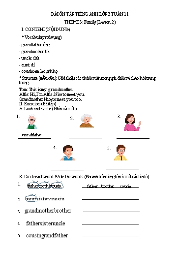 Bài tập Tiếng Anh Lớp 3 - Tuần 11, Theme 3: Family (Lesson 2) - Trường Tiểu học Thành Lợi C (Có đáp án)