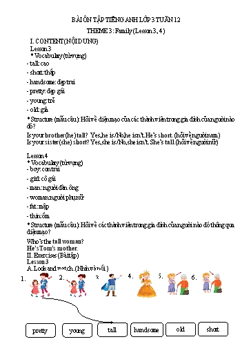 Bài tập Tiếng Anh Lớp 3 - Tuần 12, Theme 3: Family (Lesson 3, 4) - Trường Tiểu học Thành Lợi C (Có đáp án)