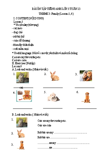 Bài tập Tiếng Anh Lớp 3 - Tuần 13, Theme 3: Family (Lesson 5, 6) - Trường Tiểu học Thành Lợi C (Có đáp án)