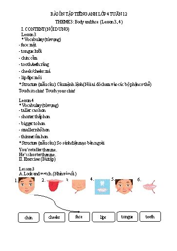 Bài tập Tiếng Anh Lớp 4 - Tuần 12, Theme 3: Body and face (Lesson 3, 4) - Trường Tiểu học Thành Lợi C (Có đáp án)
