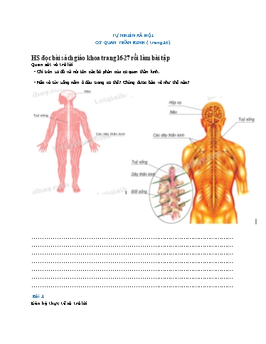 Bài tập Tự nhiên và xã hội Lớp 3 - Tuần 11 - Năm học 2021-2022 - Trường Tiểu học Tân Quới A (Có đáp án)