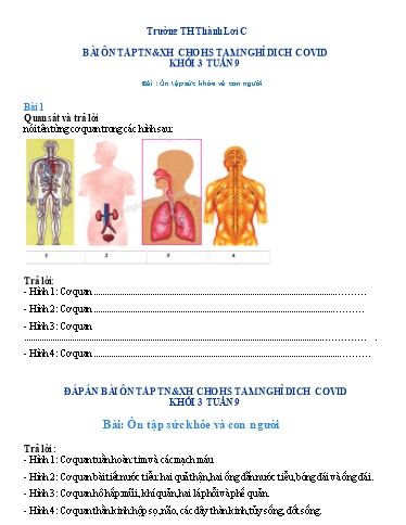Bài tập Tự nhiên và Xã hội Lớp 3 - Tuần 9, Bài: Ôn tập sức khỏe và con người - Trường Tiểu học Thành Lợi C (Có đáp án)