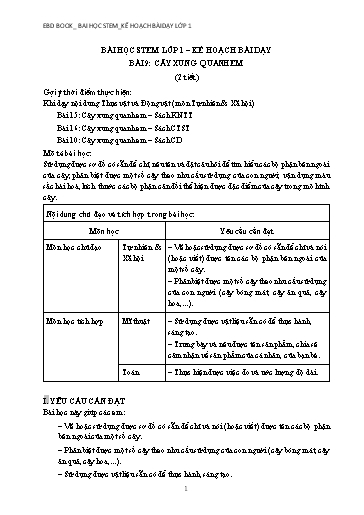 Kế hoạch bài dạy STEM Lớp 1 - Bài 9: Cây xung quanh em