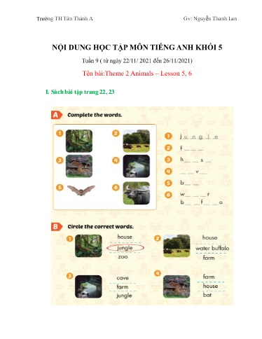 Nội dung học tập môn Tiếng Anh Khối 5 - Tuần 9, Theme 2: Animals - Lesson 5, 6 - Nguyễn Thanh Lan